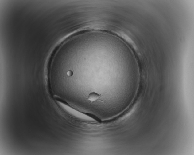 X0000088210981200705292049