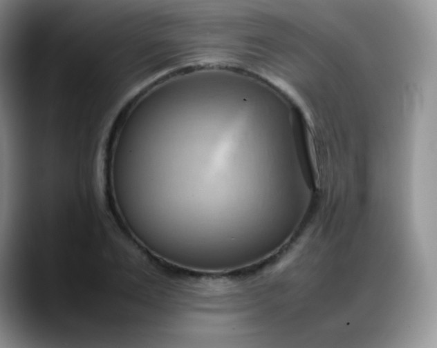 X0000088210983200705292049