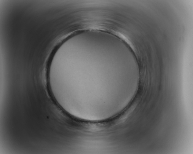 X0000088210987200705292049