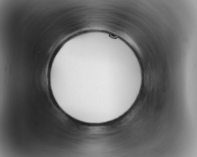X0000088210988200705292049