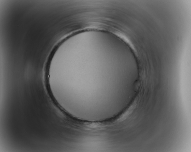 X0000088210991200705292049