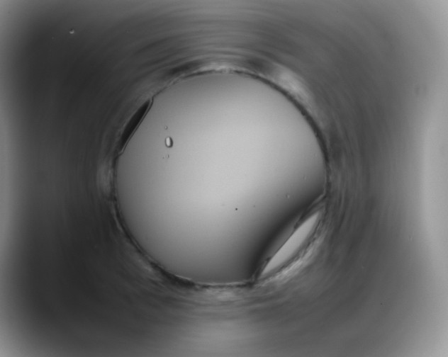 X0000088210993200705292049