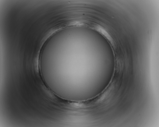 X0000088210994200705292049