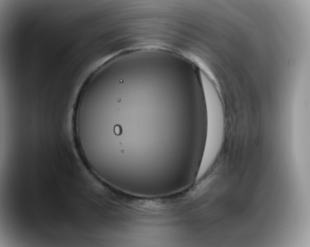 X0000088210995200705292049