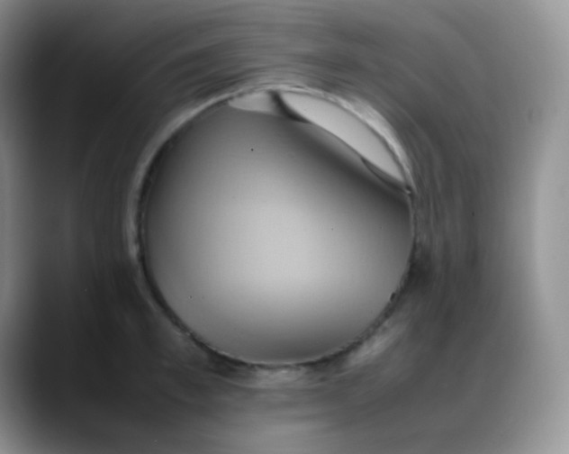 X0000088210997200705292049
