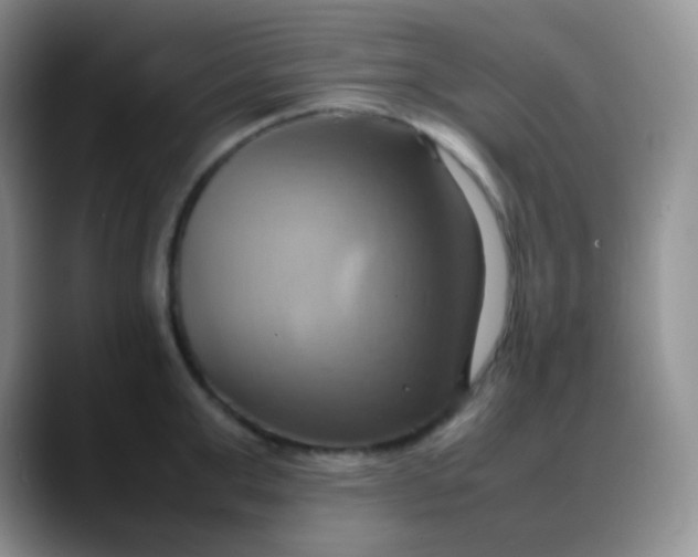 X0000088210999200705292049