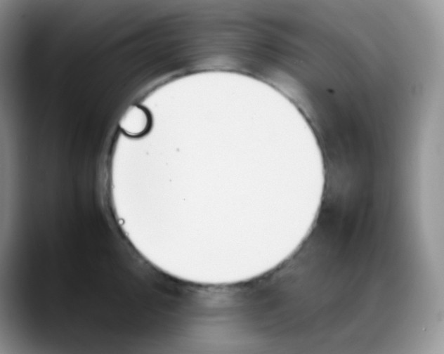 X0000088211000200705292049