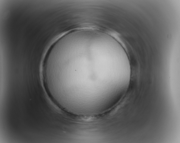 X0000088211003200705292049