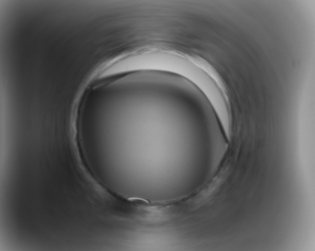 X0000088211005200705292049