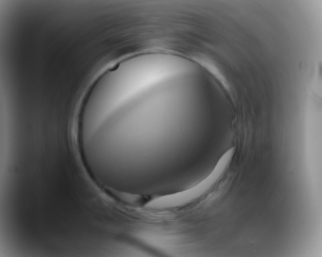 X0000088211007200705292049