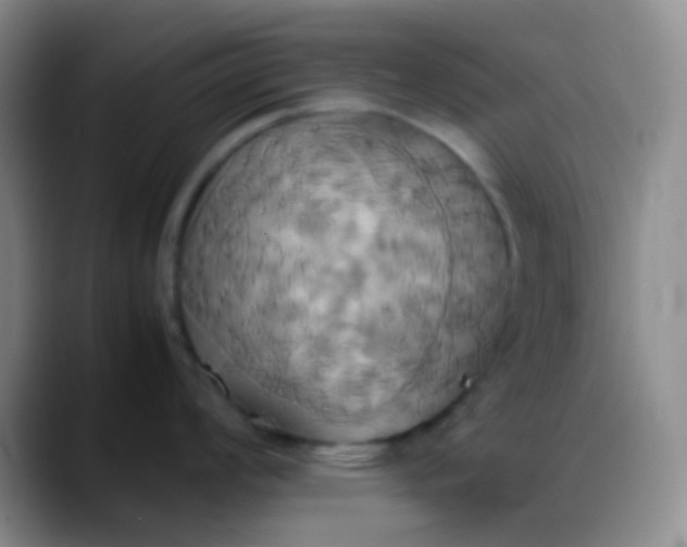 X0000088211008200705292049