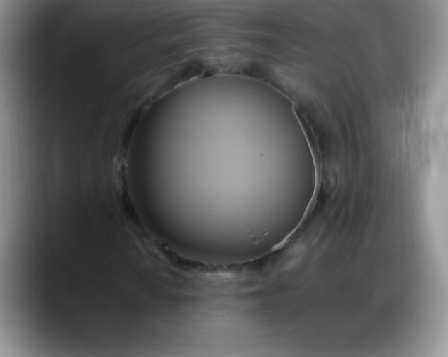 X0000088211010200705292048