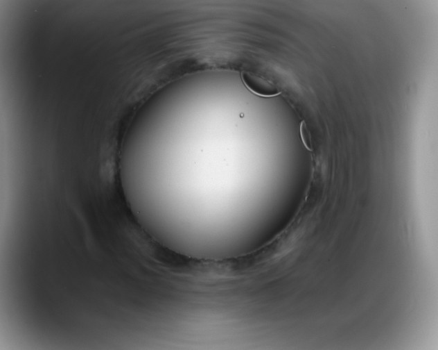 X0000088211012200705292048