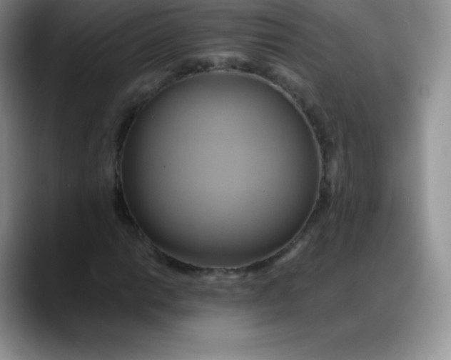 X0000088211014200705292048