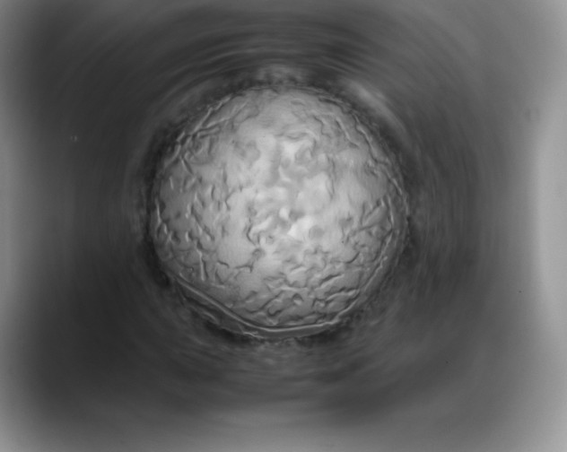 X0000088211015200705292048