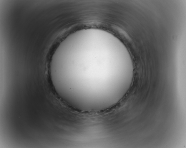 X0000088211016200705292048