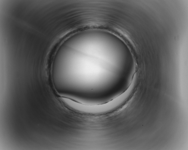 X0000088211018200705292048
