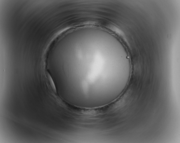 X0000088211019200705292048