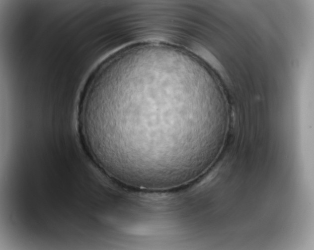 X0000088211020200705292048