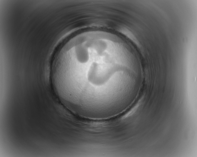 X0000088211021200705292048