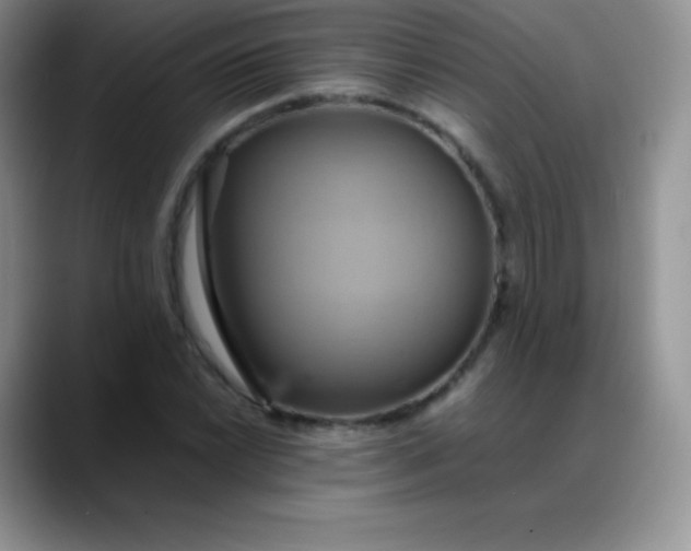 X0000088211022200705292048
