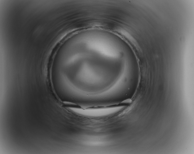 X0000088211023200705292048