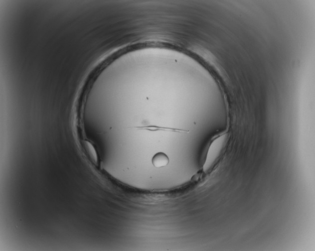 X0000088211024200705292048
