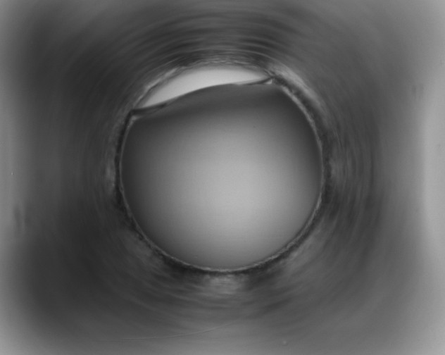 X0000088211025200705292048