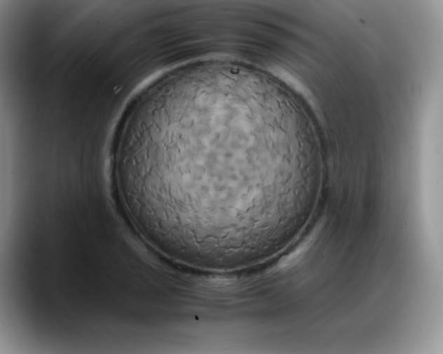 X0000088211029200705292048