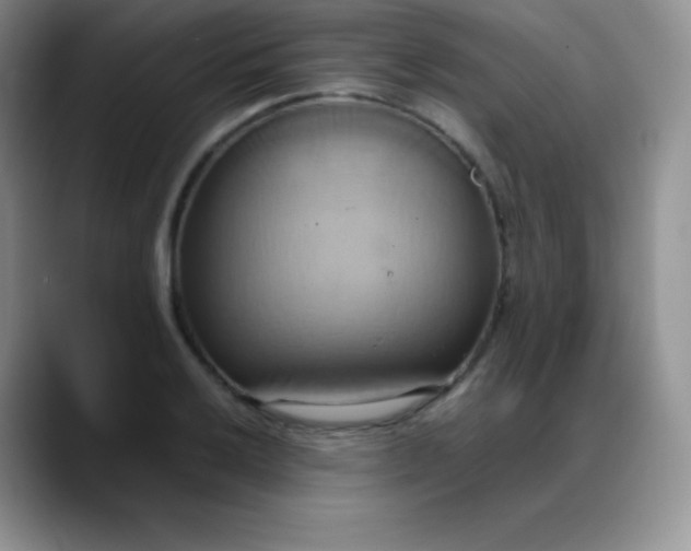 X0000088211032200705292048