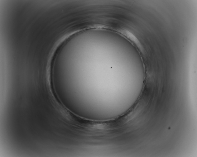 X0000088211035200705292048