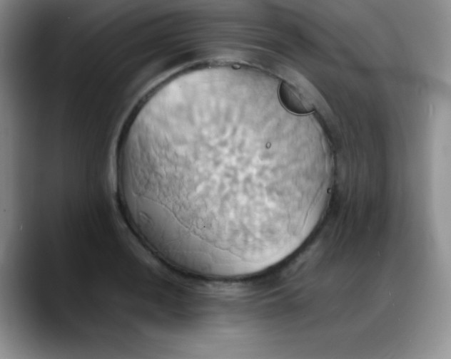 X0000088211036200705292048