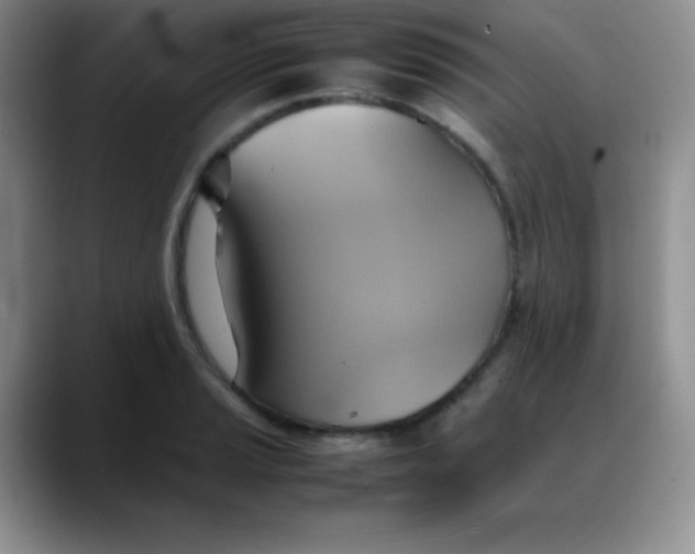 X0000088211037200705292048