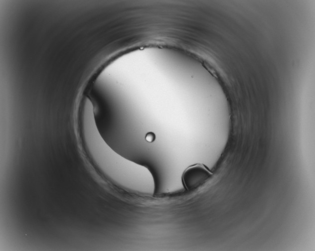 X0000088211038200705292048