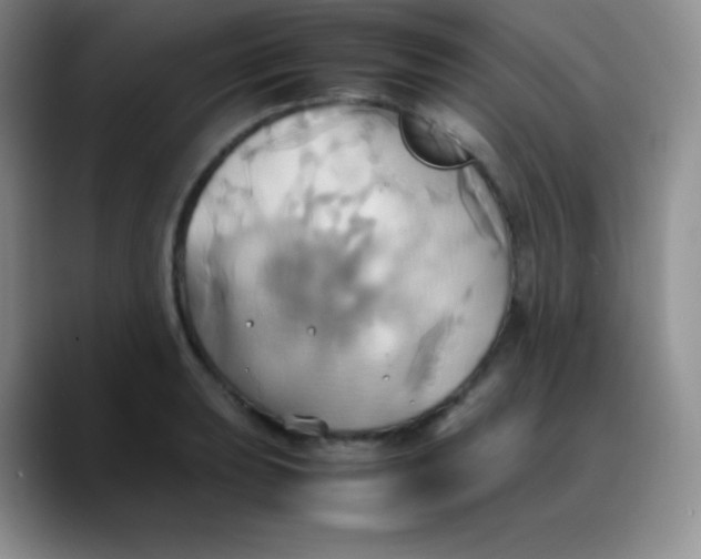 X0000088211039200705292048