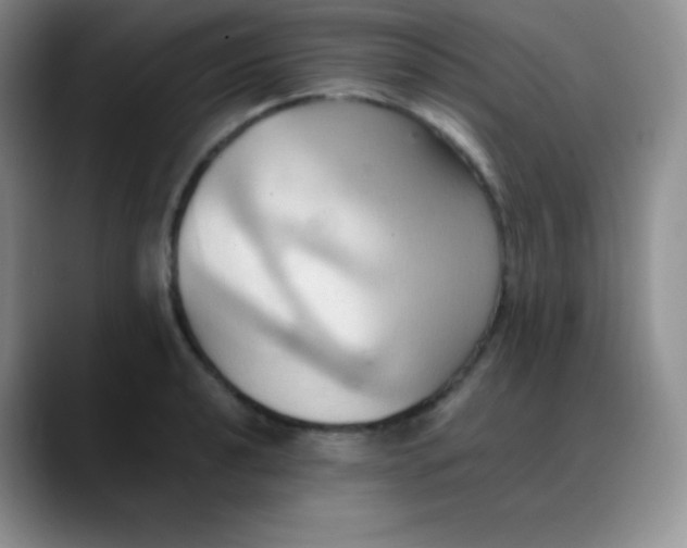 X0000088211040200705292048