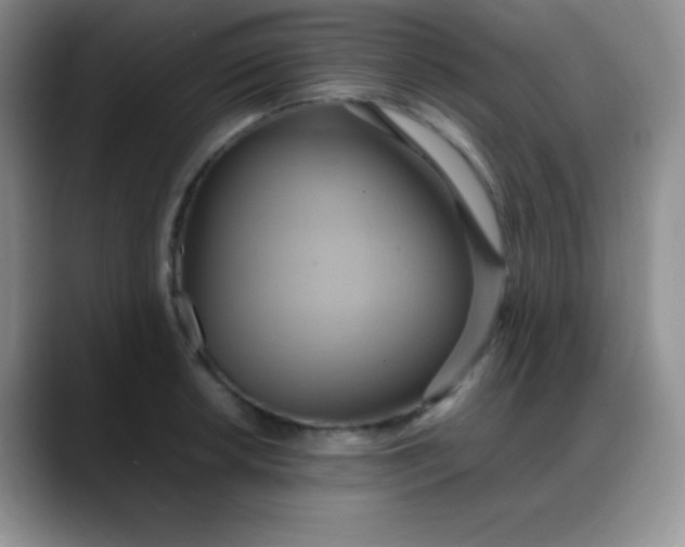 X0000088211042200705292048
