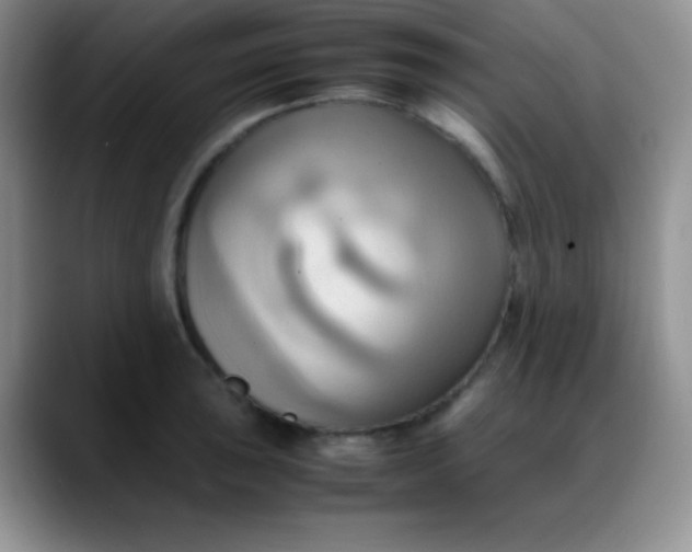 X0000088211043200705292048