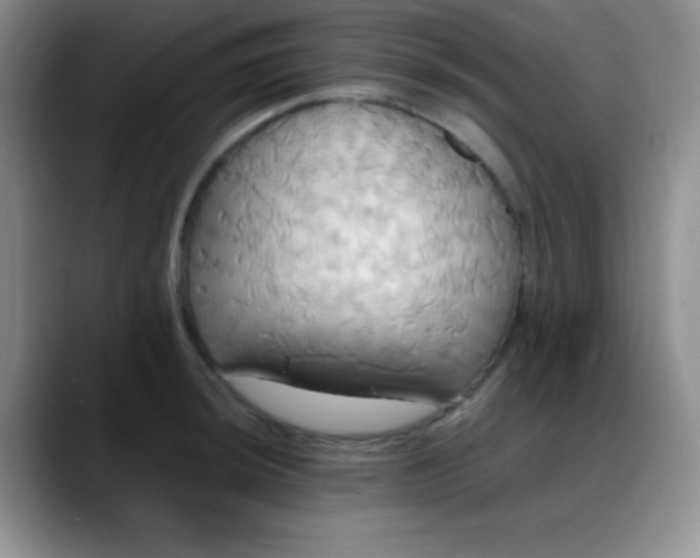 X0000088211044200705292048