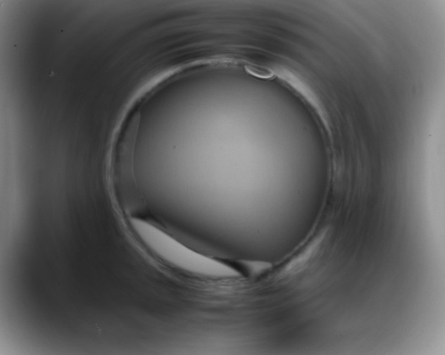 X0000088211045200705292048