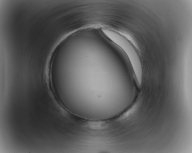 X0000088211046200705292048