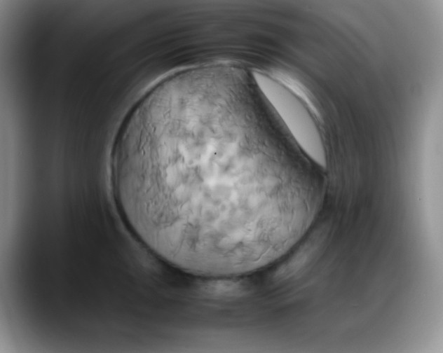 X0000088211047200705292048