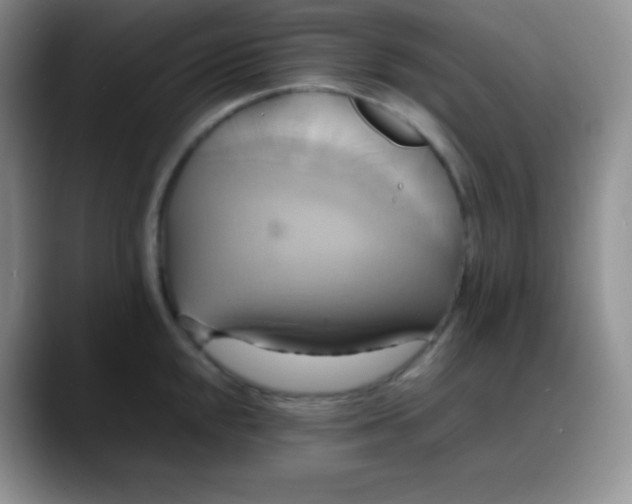 X0000088211048200705292048