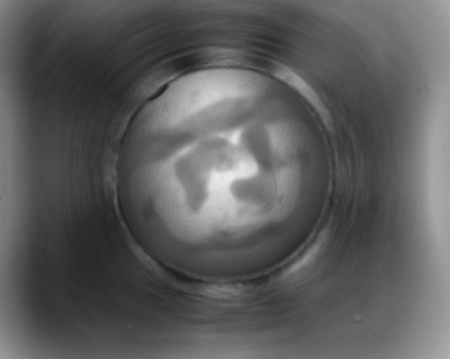 X0000088211049200705292048