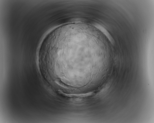 X0000088211051200705292048