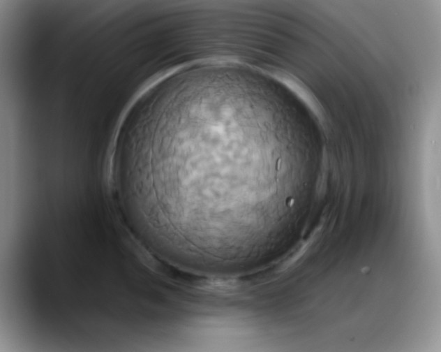 X0000088211052200705292049
