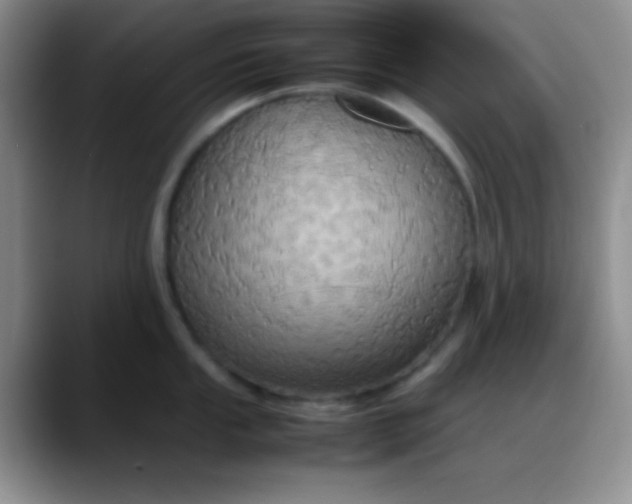 X0000088211053200705292049
