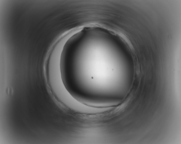 X0000088211054200705292049
