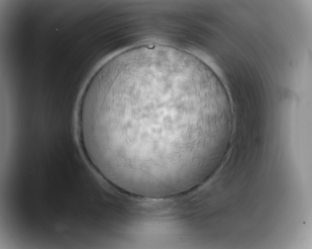 X0000088211056200705292049
