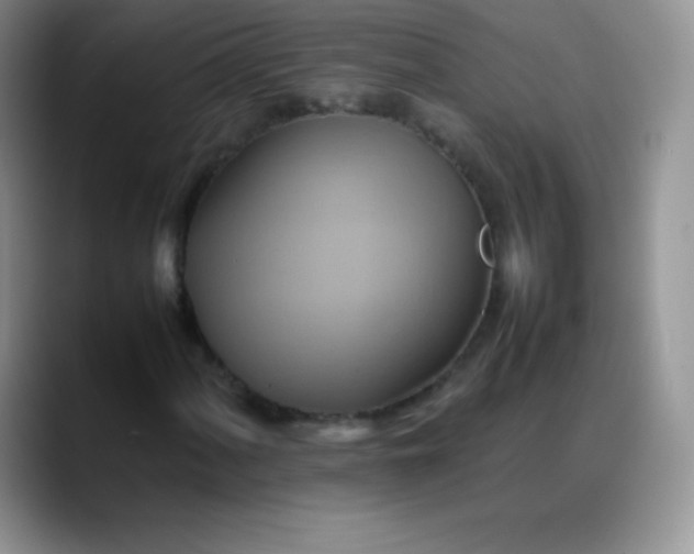 X0000088211060200705292048